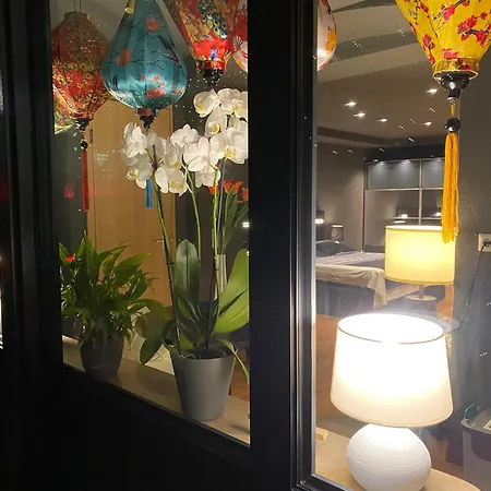 Apartment 1 Grosse Elegante Zimmerwohnung 5 Minuten Zu Fuss In Stadtmitte Lörrach