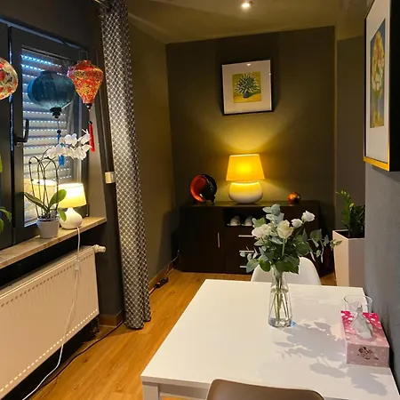 1 Grosse Elegante Zimmerwohnung 5 Minuten Zu Fuss In Stadtmitte Lörrach