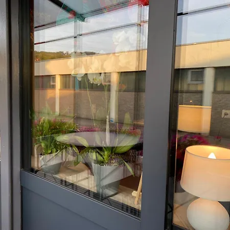 1 Grosse Elegante Zimmerwohnung 5 Minuten Zu Fuss In Stadtmitte Daire *