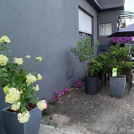 Daire 1 Grosse Elegante Zimmerwohnung 5 Minuten Zu Fuss In Stadtmitte Lörrach