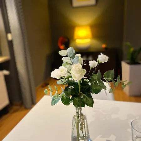 1 Grosse Elegante Zimmerwohnung 5 Minuten Zu Fuss In Stadtmitte