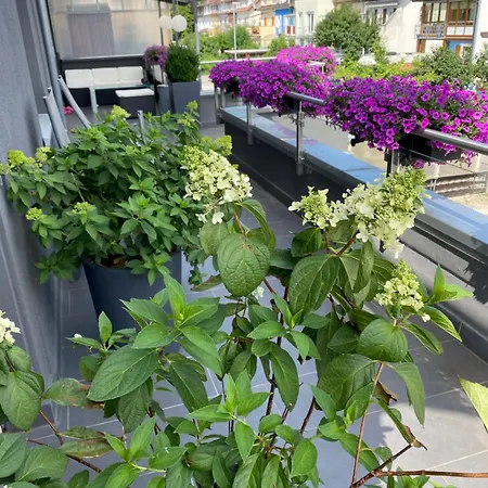 Apartment 1 Grosse Elegante Zimmerwohnung 5 Minuten Zu Fuss In Stadtmitte Lörrach