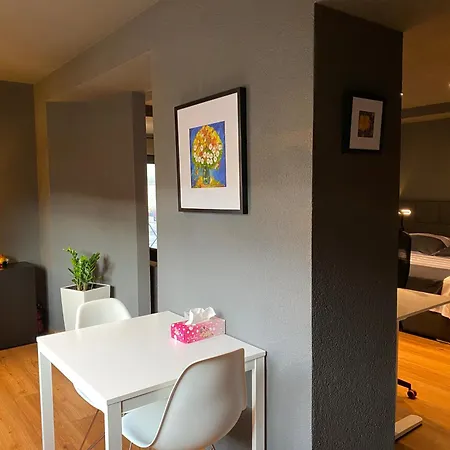 1 Grosse Elegante Zimmerwohnung 5 Minuten Zu Fuss In Stadtmitte Daire