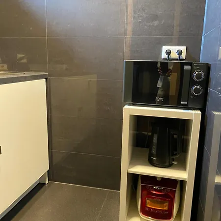 Apartment 1 Grosse Elegante Zimmerwohnung 5 Minuten Zu Fuss In Stadtmitte *