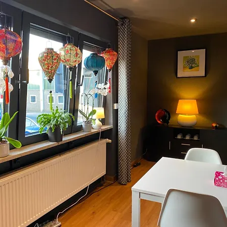 Apartment 1 Grosse Elegante Zimmerwohnung 5 Minuten Zu Fuss In Stadtmitte