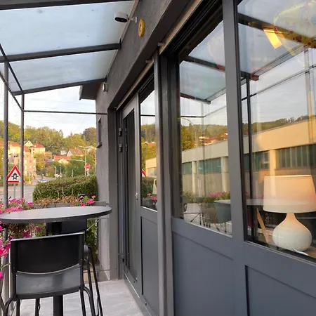 Apartment 1 Grosse Elegante Zimmerwohnung 5 Minuten Zu Fuss In Stadtmitte *