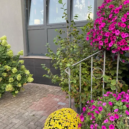 Apartment 1 Grosse Elegante Zimmerwohnung 5 Minuten Zu Fuss In Stadtmitte