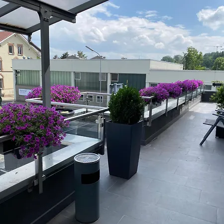 Apartment 1 Grosse Elegante Zimmerwohnung 5 Minuten Zu Fuss In Stadtmitte Lörrach