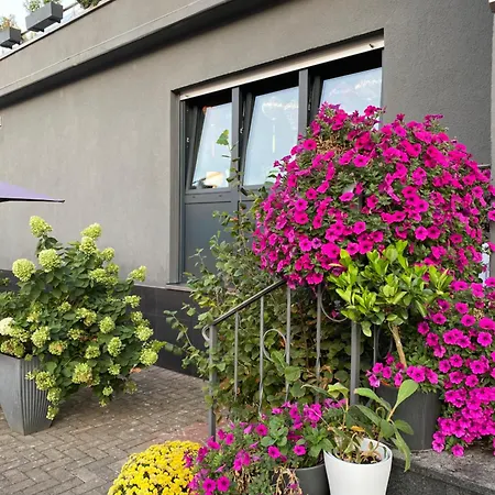 1 Grosse Elegante Zimmerwohnung 5 Minuten Zu Fuss In Stadtmitte Daire