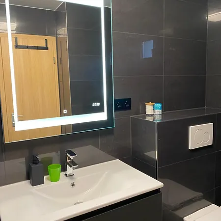 1 Grosse Elegante Zimmerwohnung 5 Minuten Zu Fuss In Stadtmitte Daire Lörrach