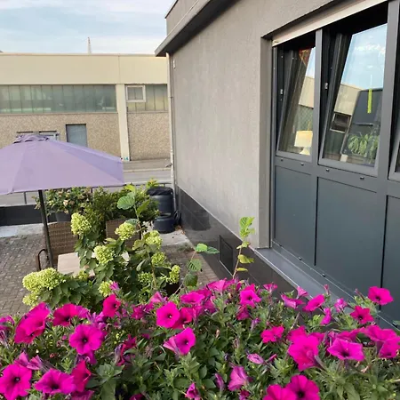 1 Grosse Elegante Zimmerwohnung 5 Minuten Zu Fuss In Stadtmitte * Lörrach