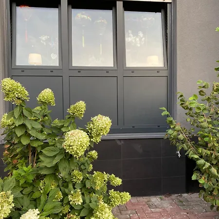 1 Grosse Elegante Zimmerwohnung 5 Minuten Zu Fuss In Stadtmitte