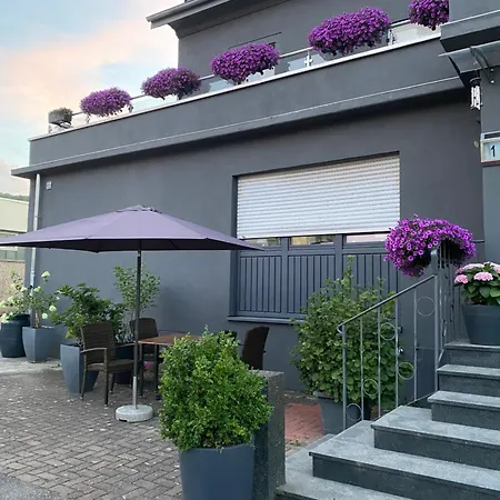 1 Grosse Elegante Zimmerwohnung 5 Minuten Zu Fuss In Stadtmitte Daire Lörrach